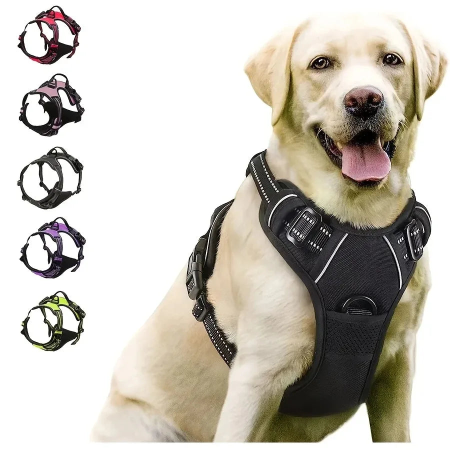 Puppy Leather Harness Set