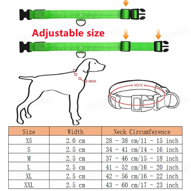 Night‑Glow Dog & Cat Collar