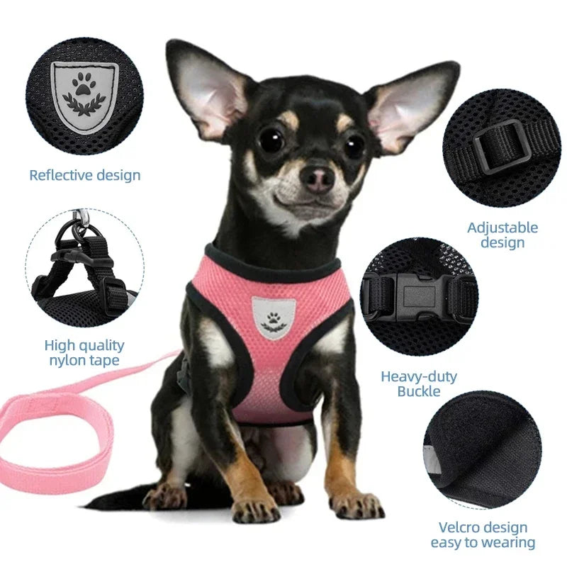 Breathable Mesh Pet Walking Harness