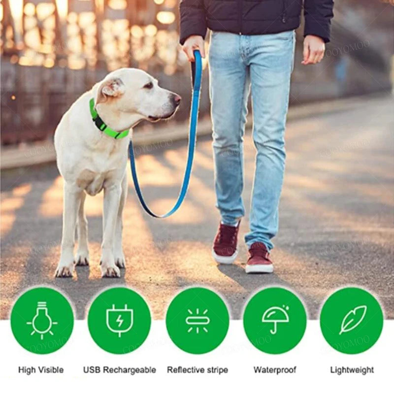 Night‑Glow Dog & Cat Collar