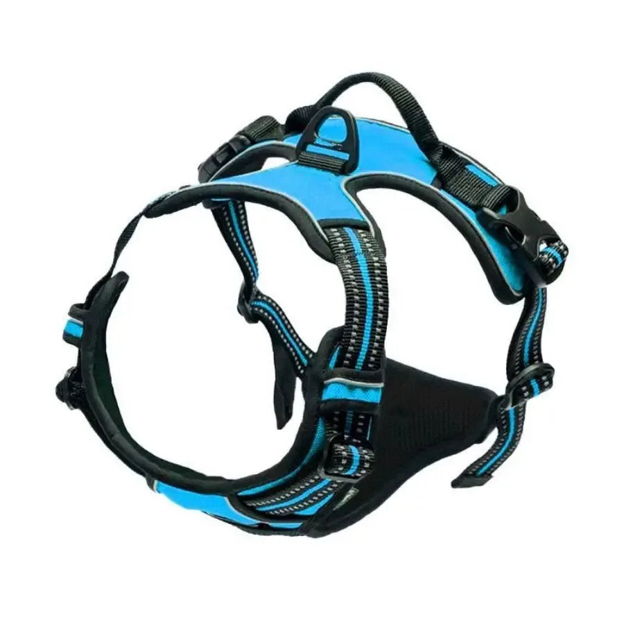 Puppy Leather Harness Set