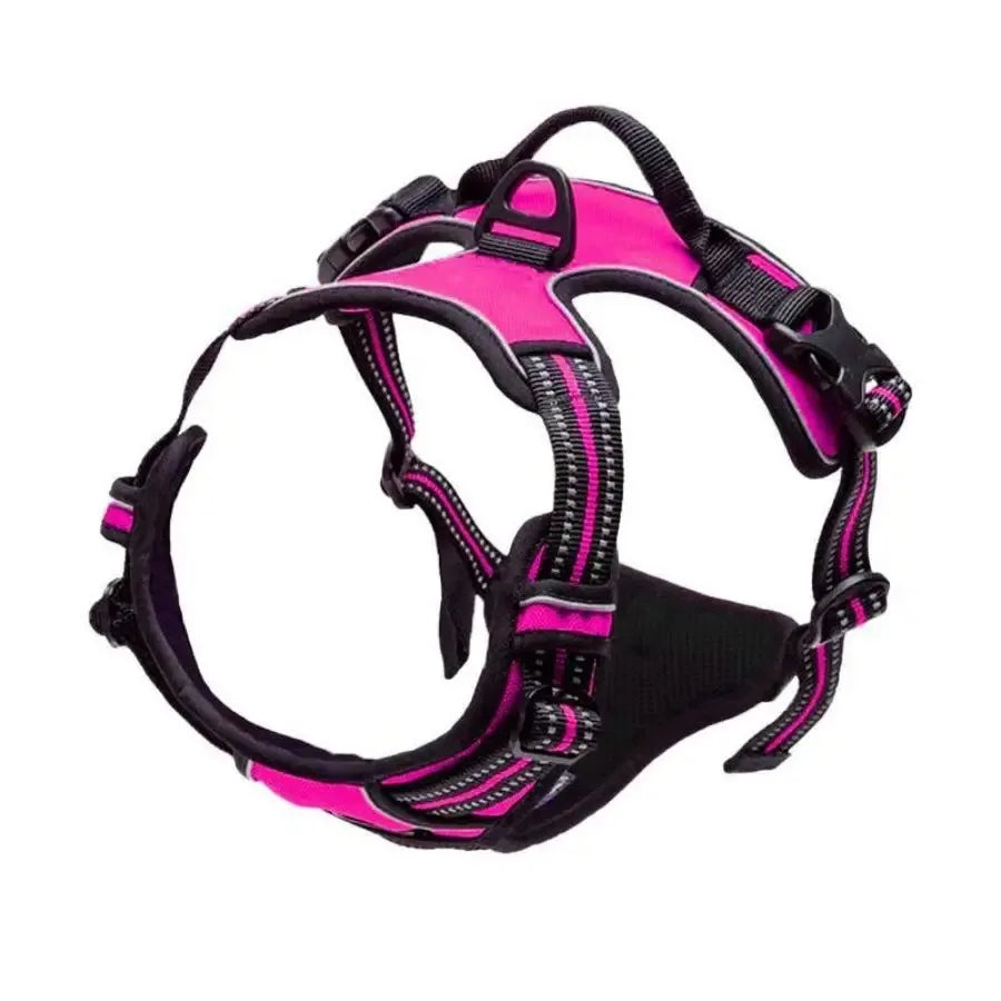 Puppy Leather Harness Set