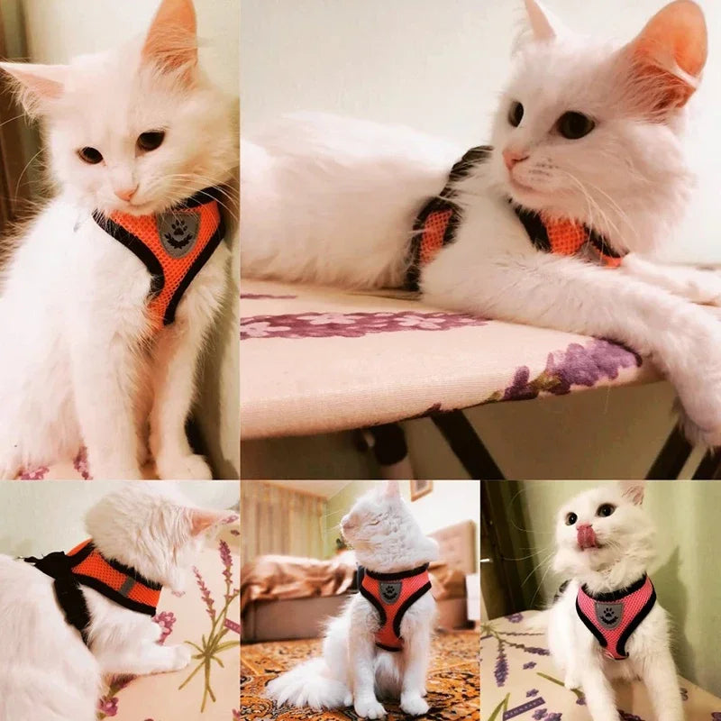 Breathable Mesh Pet Walking Harness
