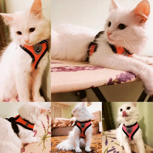 Breathable Mesh Pet Walking Harness