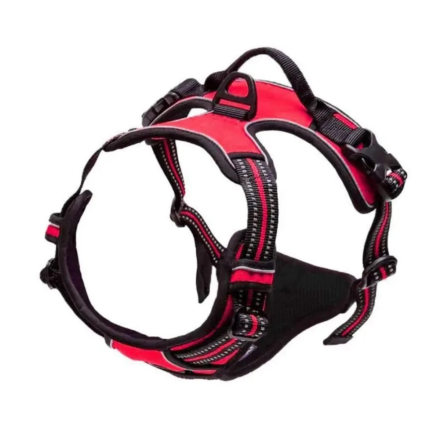 Puppy Leather Harness Set
