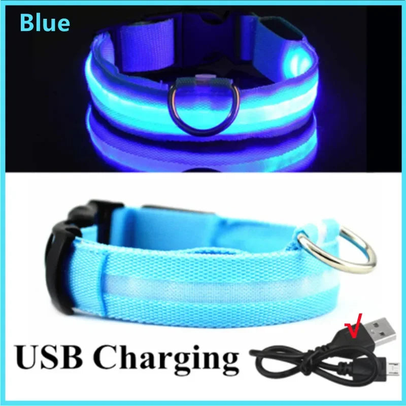 Night‑Glow Dog & Cat Collar