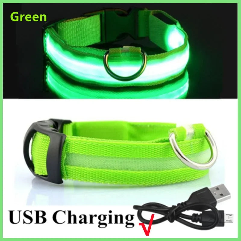Night‑Glow Dog & Cat Collar