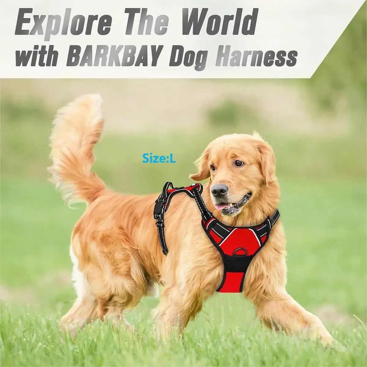 Puppy Leather Harness Set