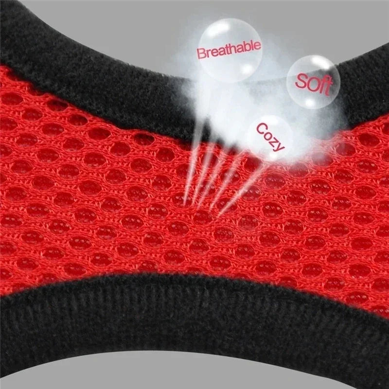 Breathable Mesh Pet Walking Harness