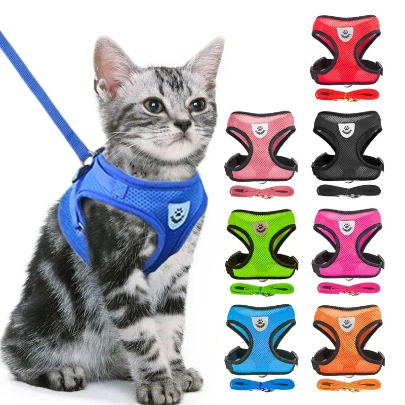 Breathable Mesh Pet Walking Harness