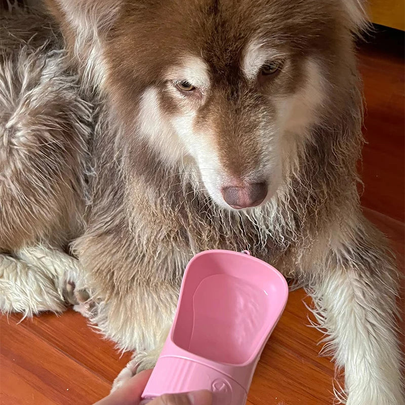 2‑in‑1 Pet Hydration Dispenser