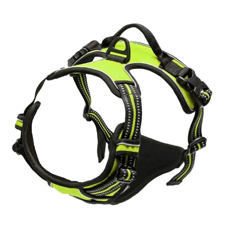 Puppy Leather Harness Set