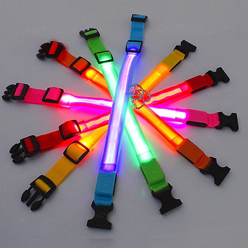 Night‑Glow Dog & Cat Collar