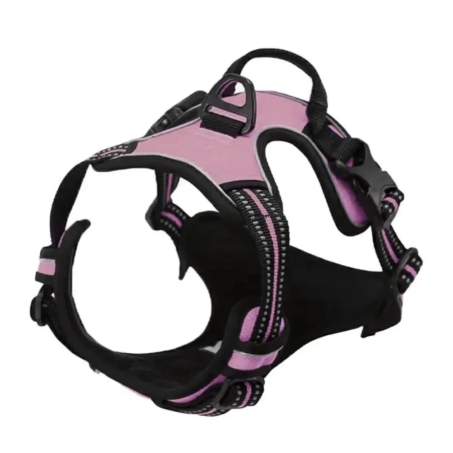 Puppy Leather Harness Set