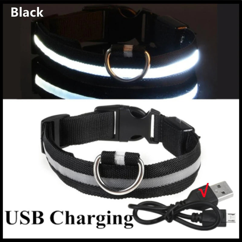 Night‑Glow Dog & Cat Collar