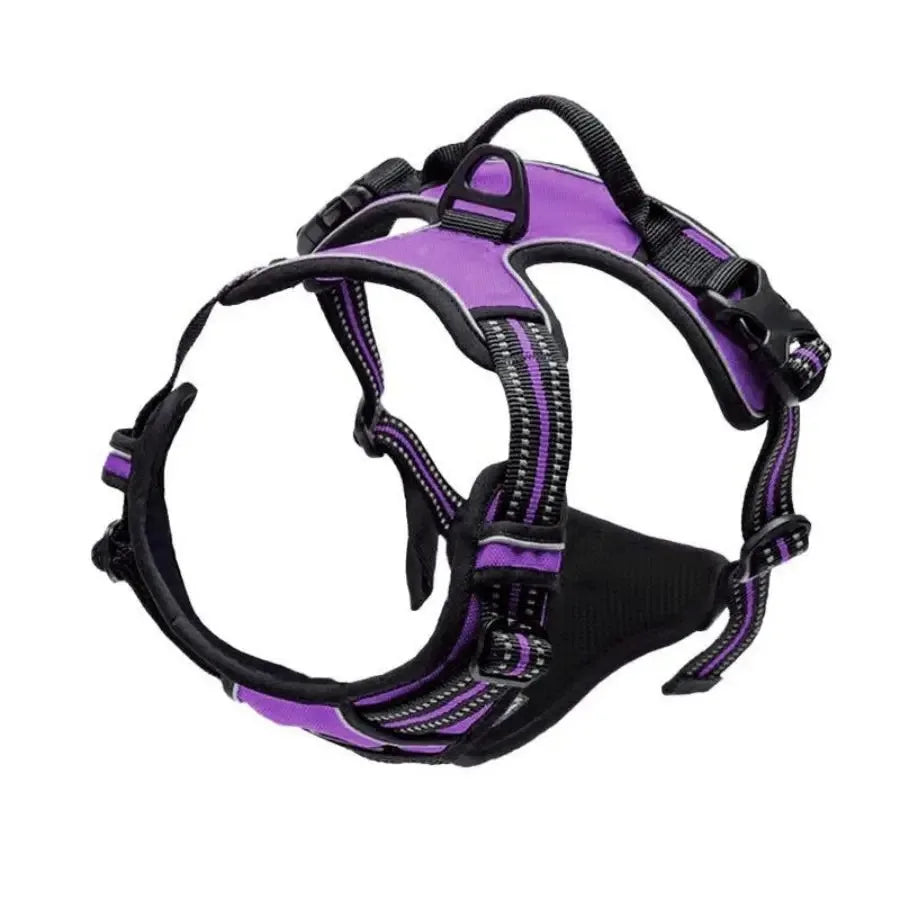 Puppy Leather Harness Set