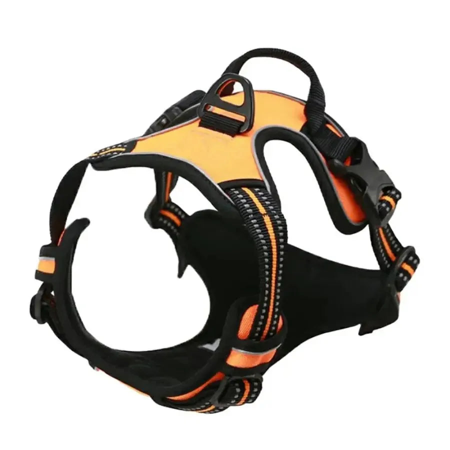 Puppy Leather Harness Set
