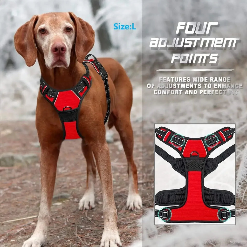 Puppy Leather Harness Set