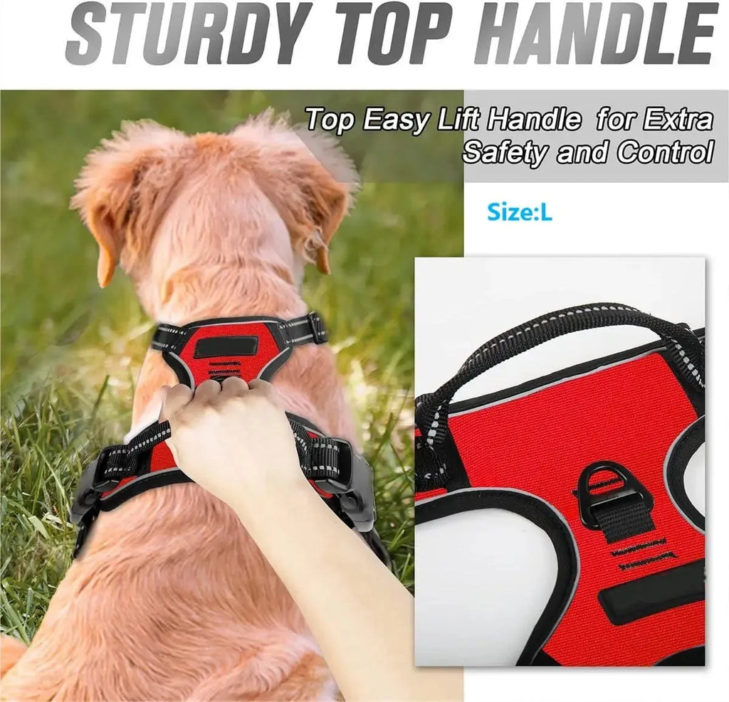 Puppy Leather Harness Set