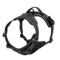 Puppy Leather Harness Set