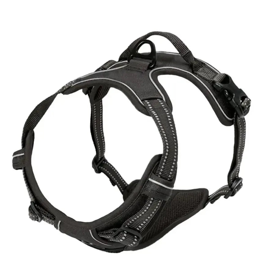 Puppy Leather Harness Set